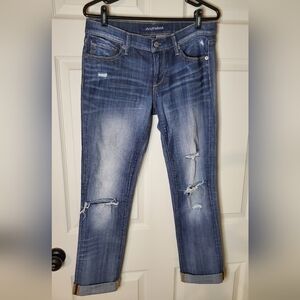 DRIFTWOOD Ripped Indigo Skinny Jeans